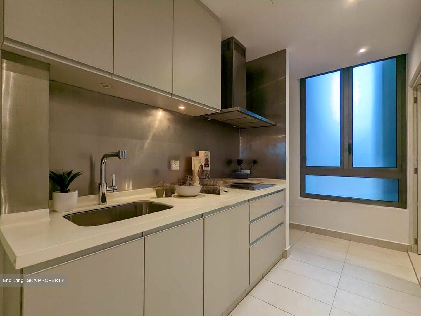 Seascape (D4), Condominium #509582421